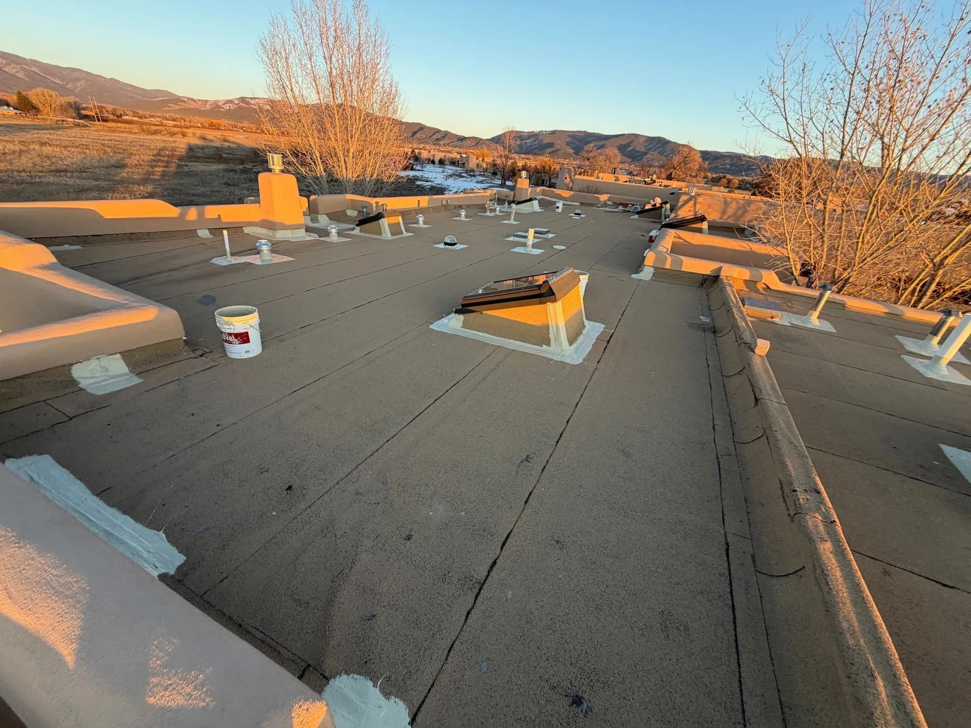 Roof Repairs